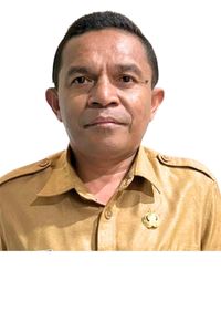 Fransiskus Alu Wotan, S.Sos